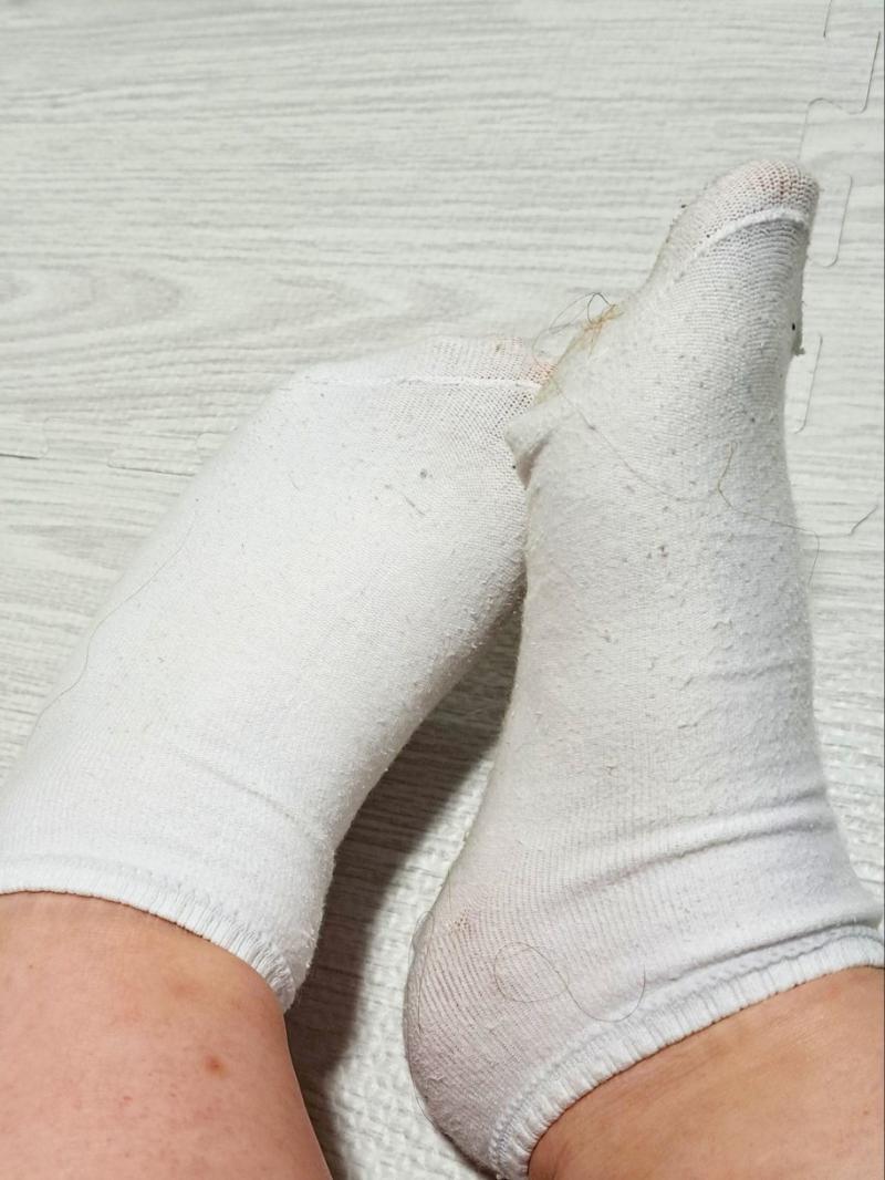 出品者名-写真-1