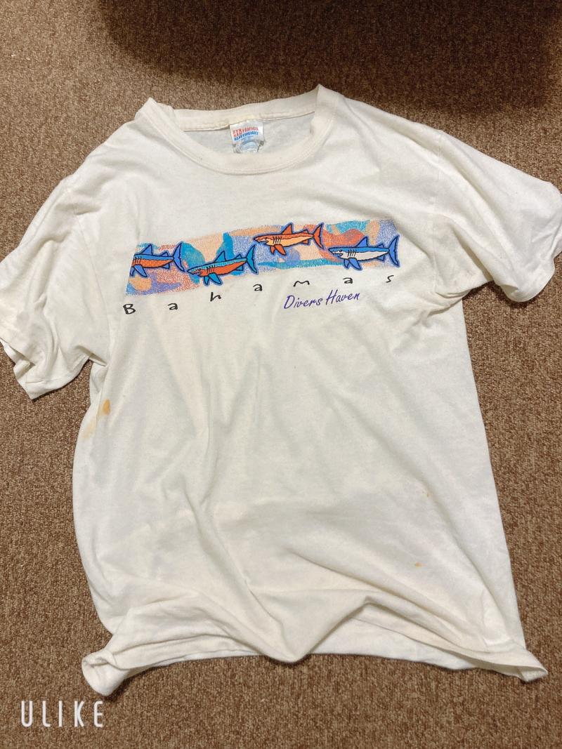 出品者名-写真-1