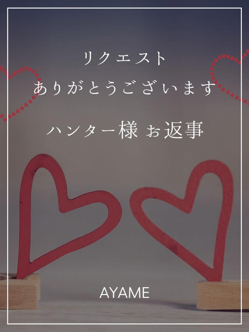【ハンター様専用品】リクエストありがとうございます