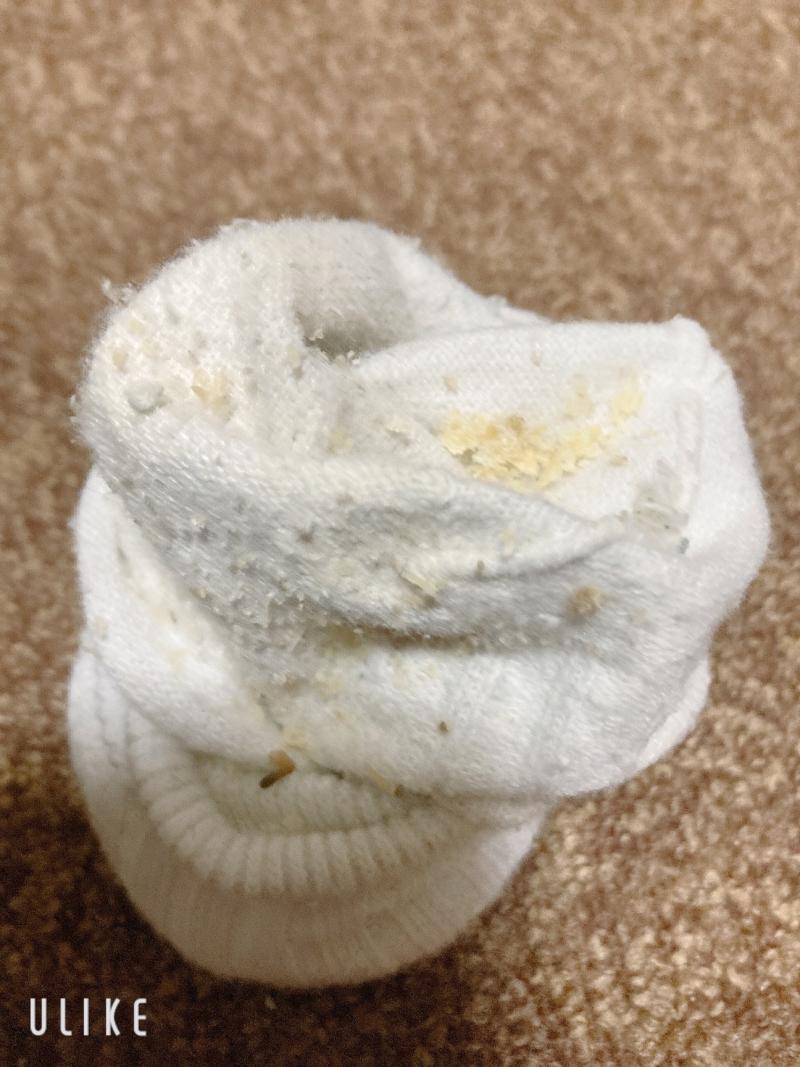 出品者名-写真-1