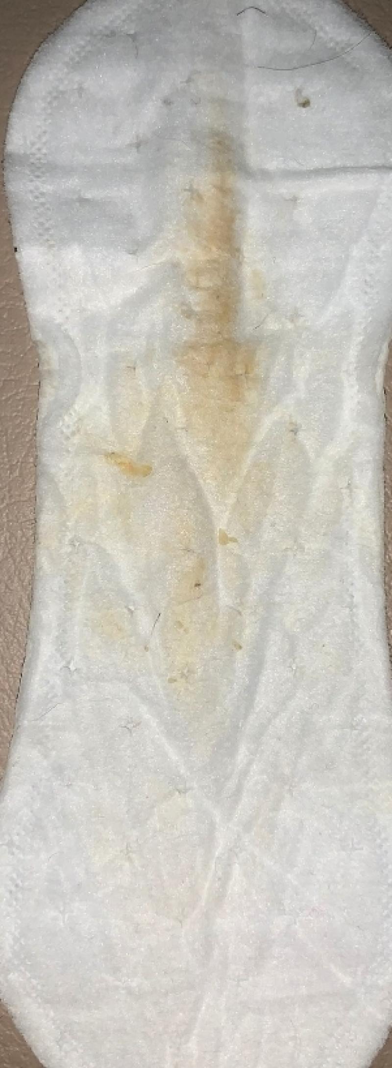 出品者名-写真-1