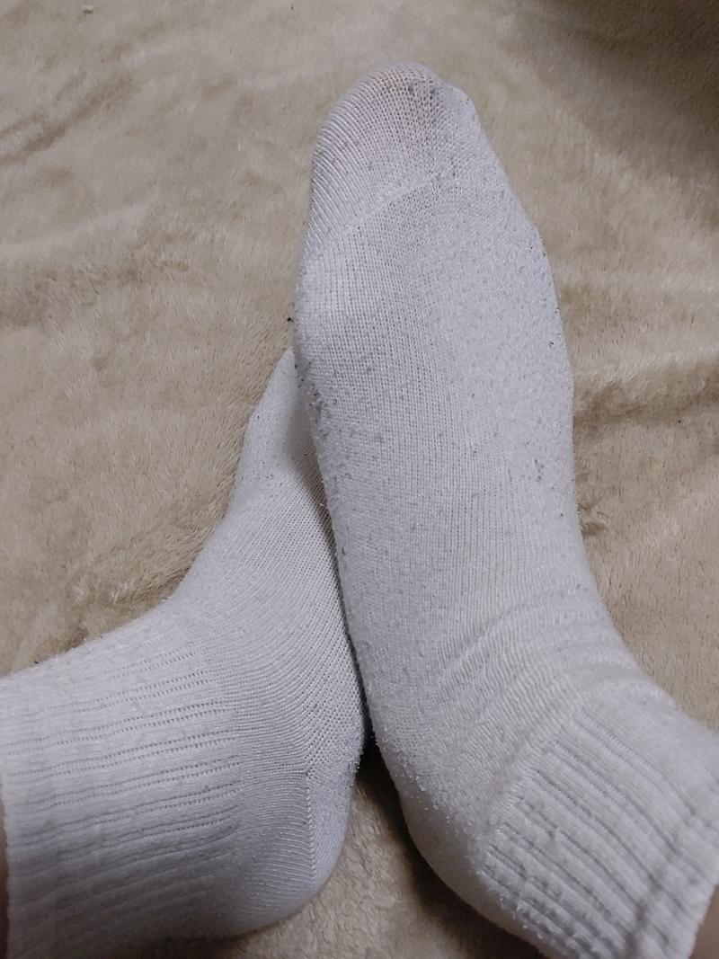 出品者名-写真-1