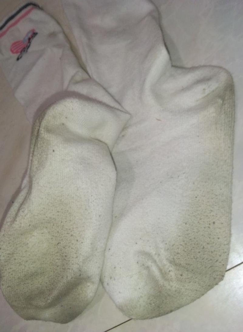 出品者名-写真-1