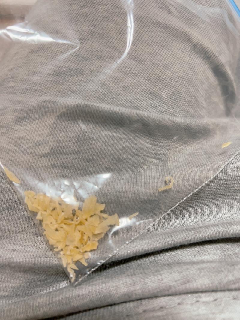 出品者名-写真-1