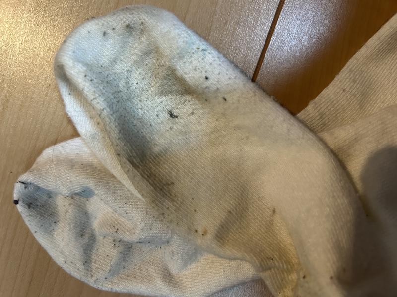 【ゲリラ出品】10日履激臭靴下
