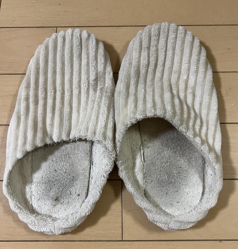 酸っぱさ染み込みスリッパ