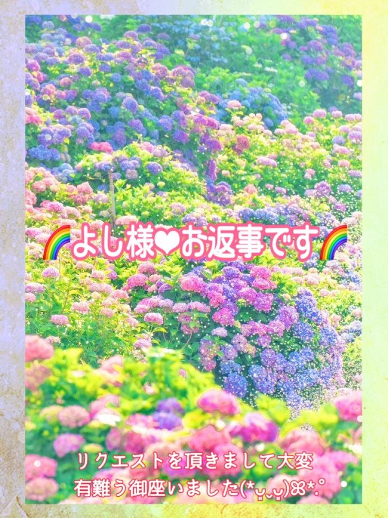 【よし様‪‪❤︎‬お返事です】