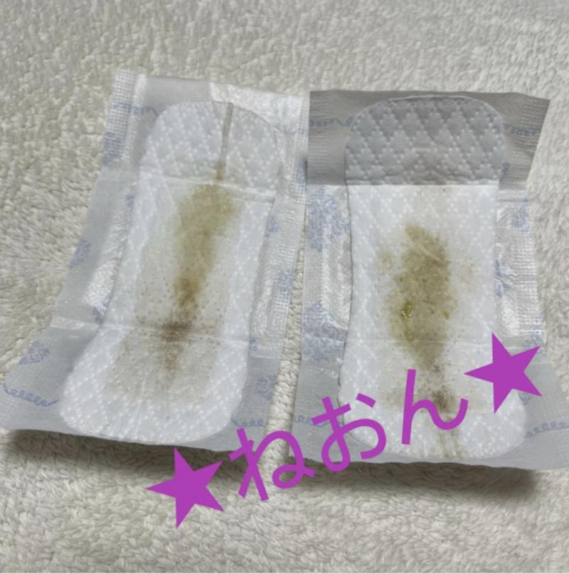 出品者名-写真