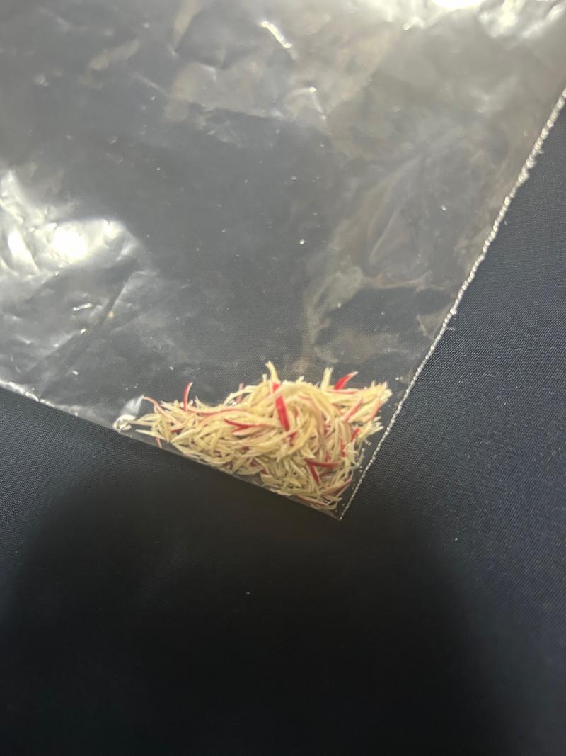 出品者名-写真-1