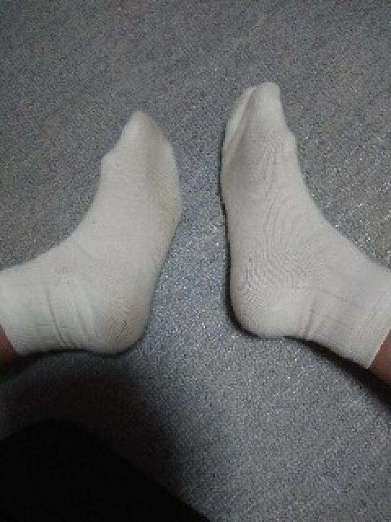 出品者名-写真-1