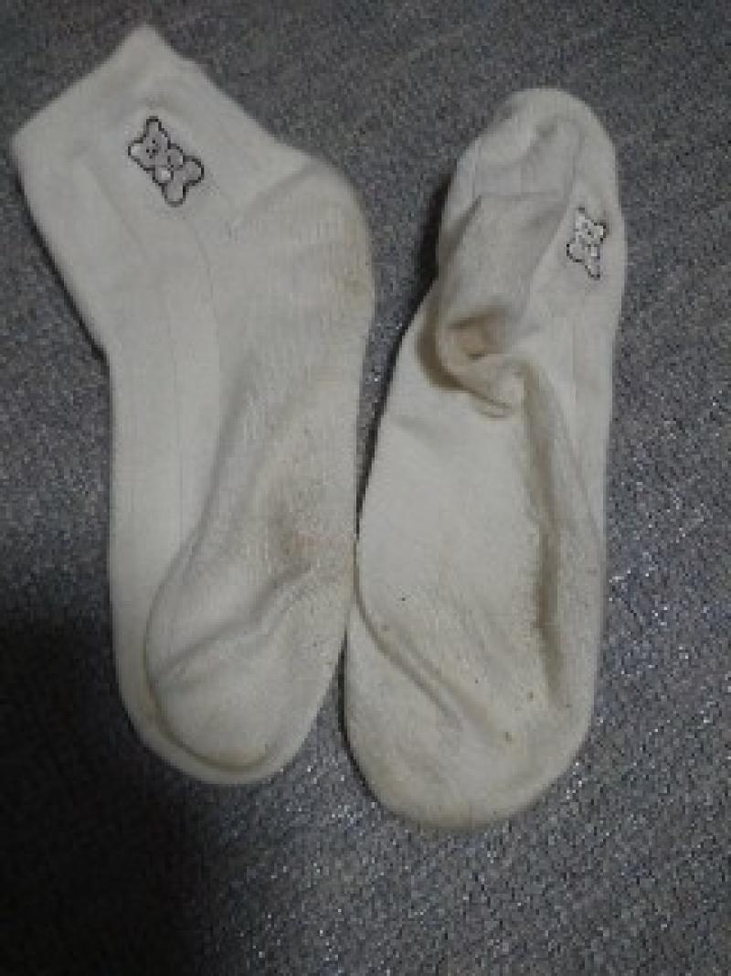 出品者名-写真-1