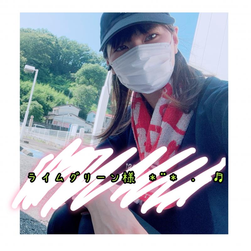 ライムグリーン専用