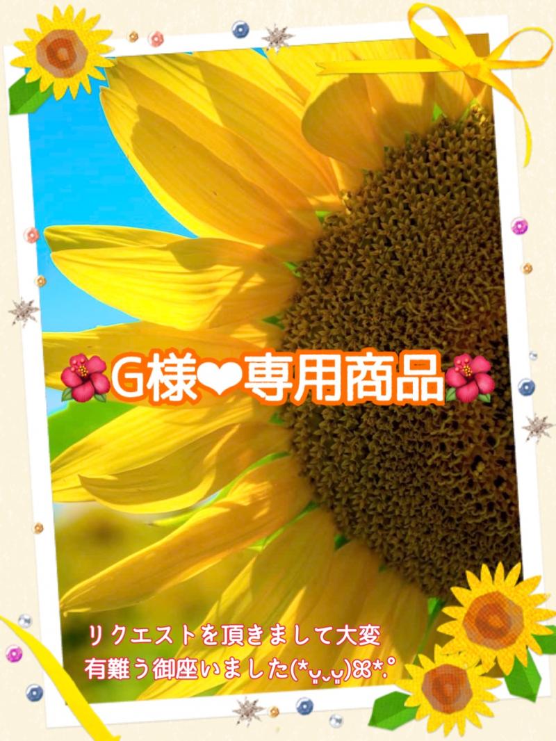 【G様‪‪❤︎‬専用商品】