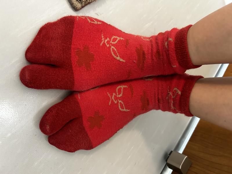 【5日間連続着用】激臭二股ソックス♡♡