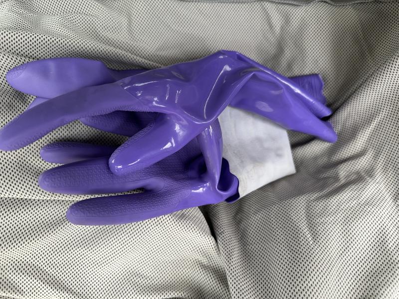出品者名-写真-1