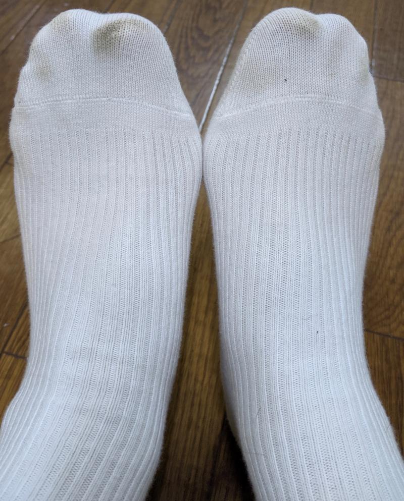 出品者名-写真-1