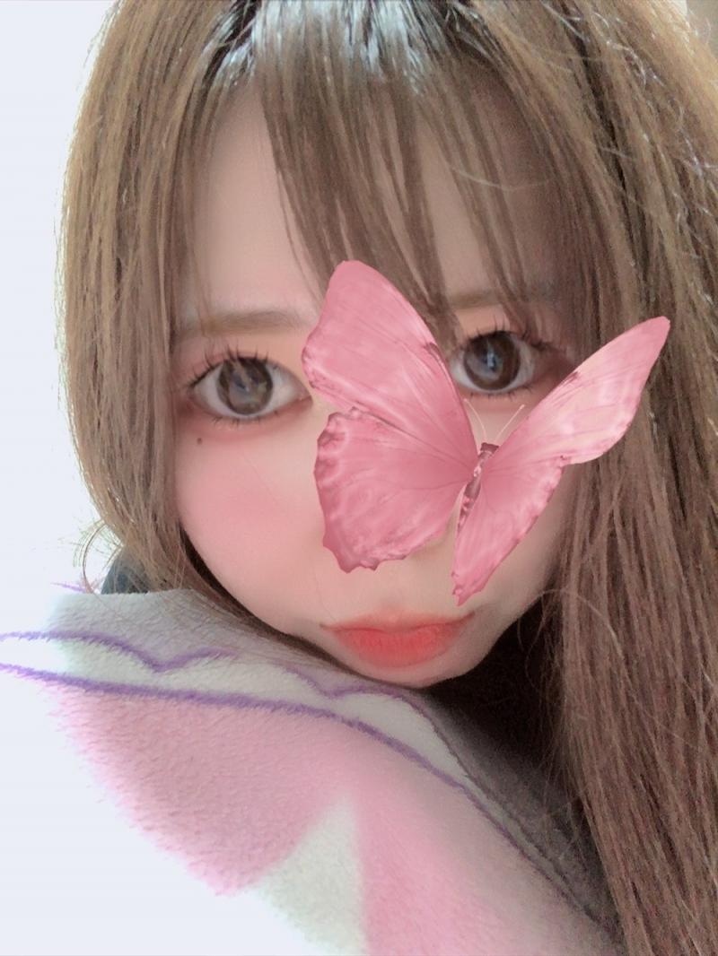 出品者名-写真