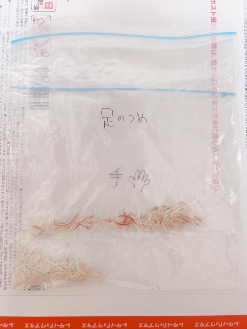 出品者名-写真-1