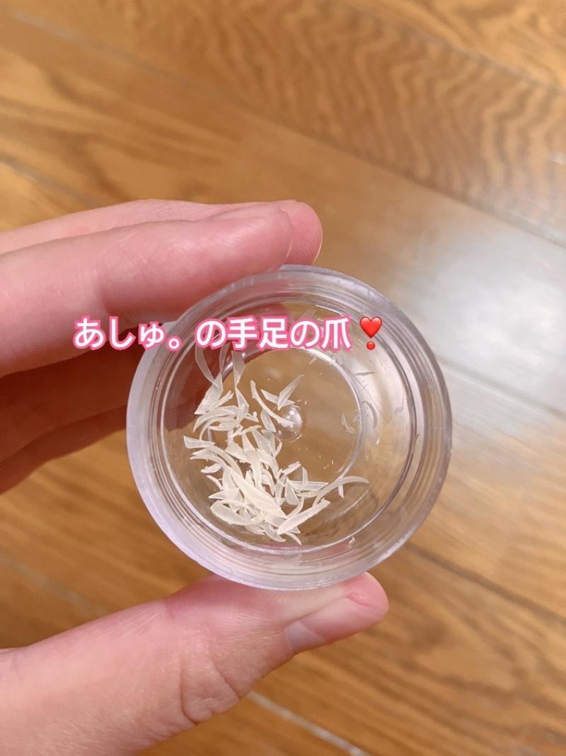 あしゅ。の足と手の爪