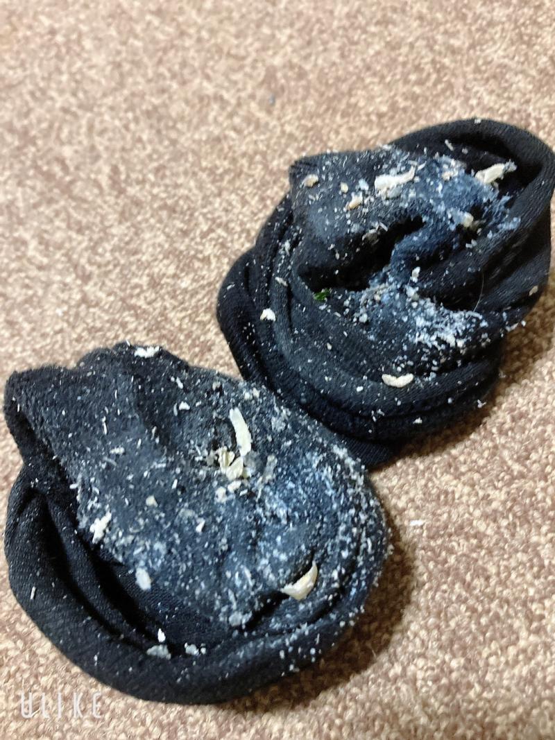 風呂無しで1週間 連履きしたさまくった 足垢カスたっぷりのクッサくさのソックスꯁꯧ