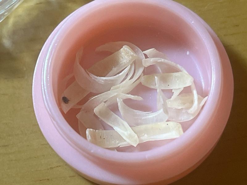 ♡さっき切ったばっかりのツーンとくっさい爪垢こびりつき手と足の爪♡