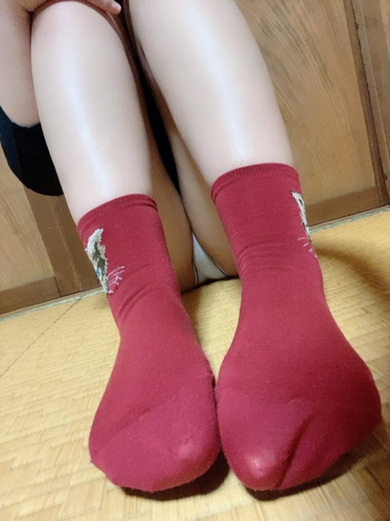 まいの1日セット