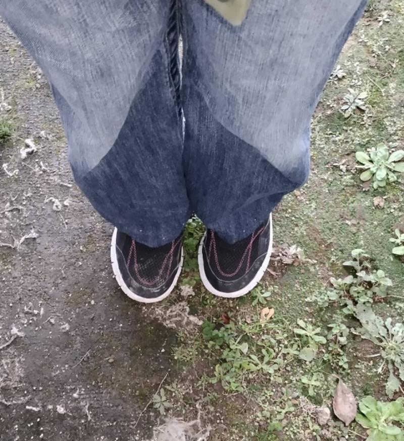 出品者名-写真-1