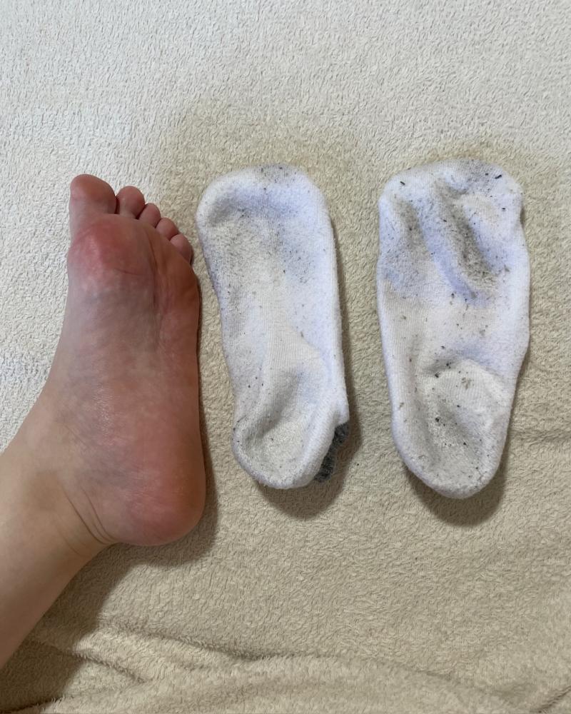 出品者名-写真