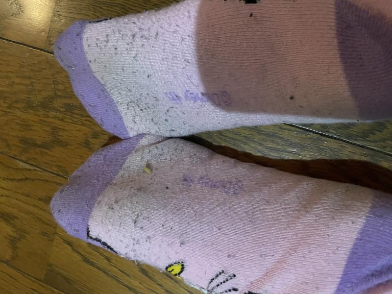 1週間着用した靴下