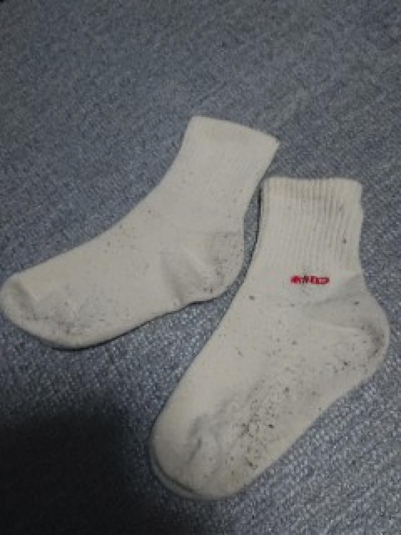 出品者名-写真-1
