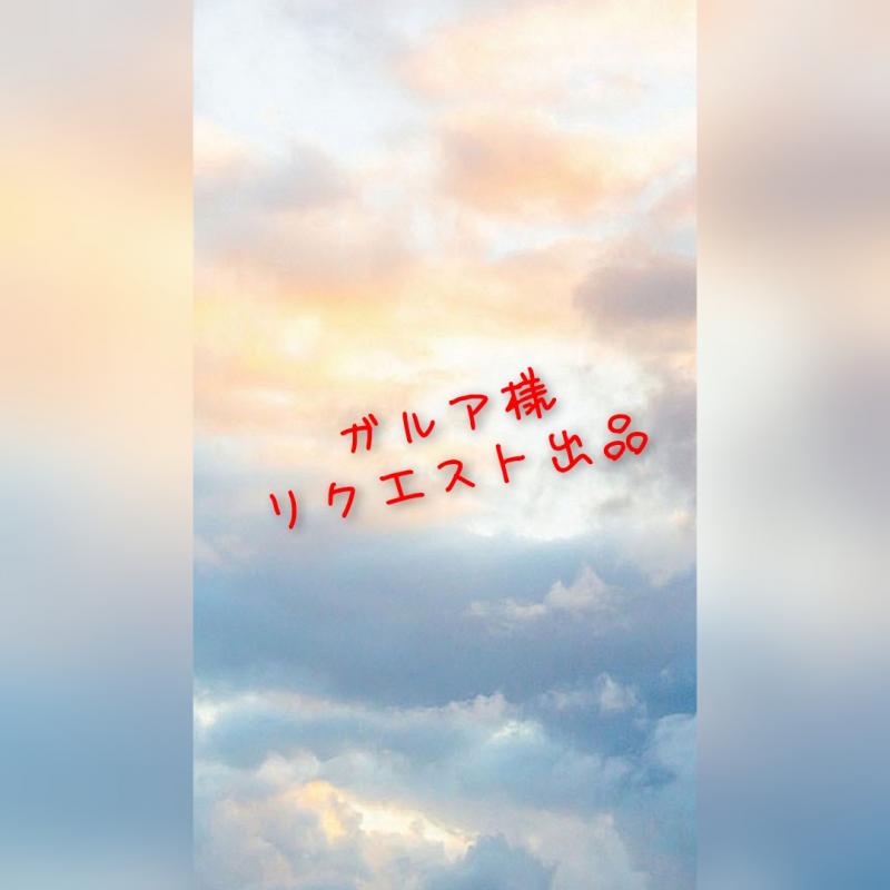 ガルア様リクエスト出品