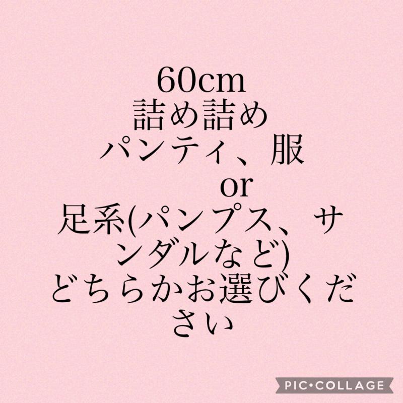 60cmお任せ詰め詰め　