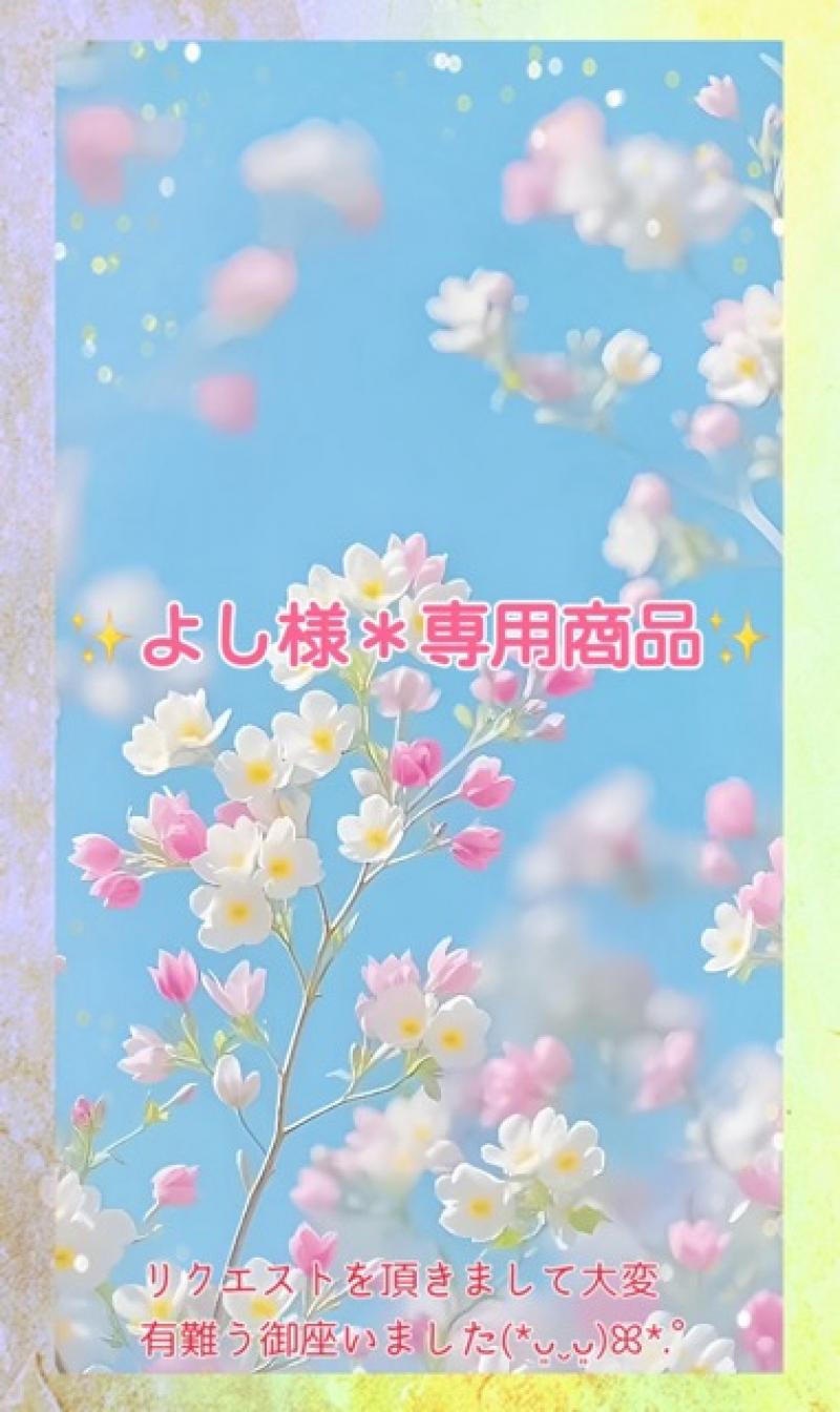 ✧*。よし 様*専用商品✧*。