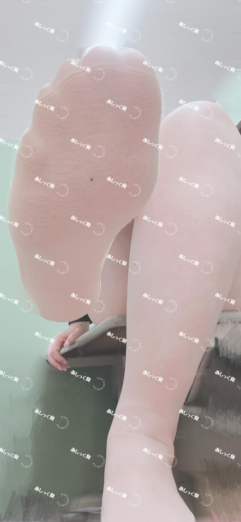 出品者名-写真-1