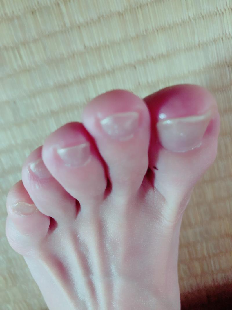 出品者名-写真-1