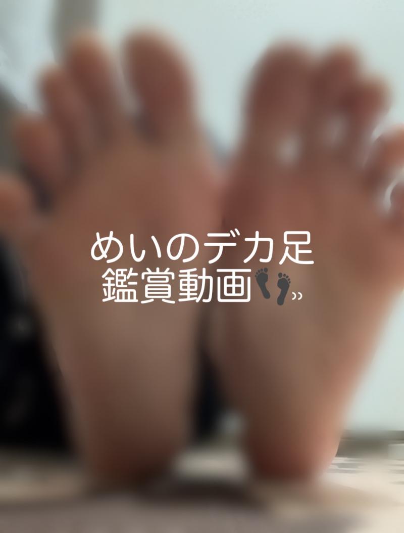 出品者名-写真-1