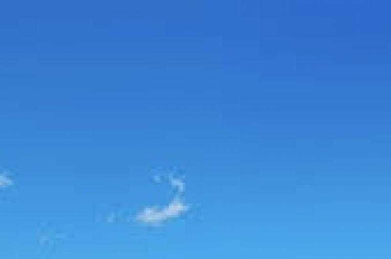 はちすけ様専用