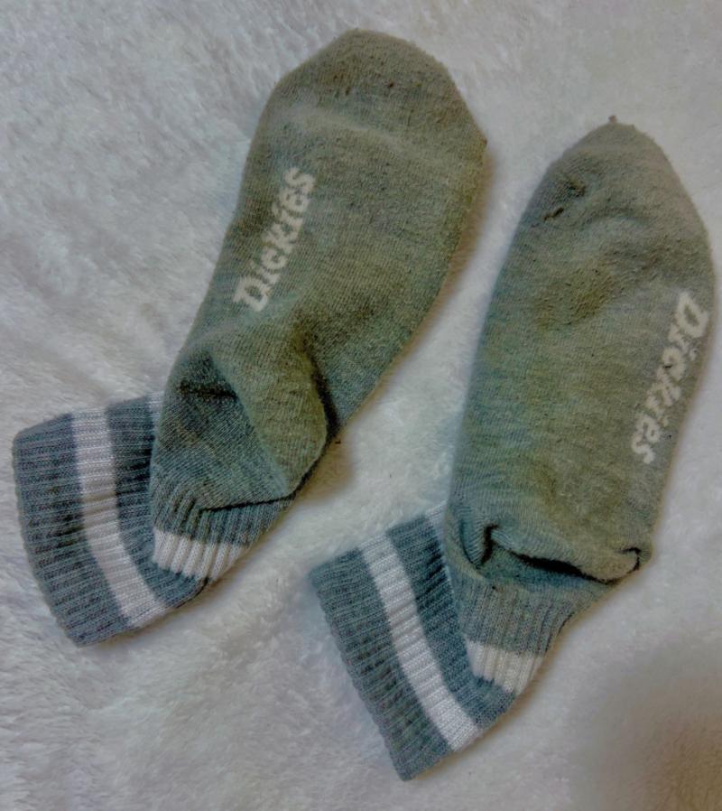 出品者名-写真-1