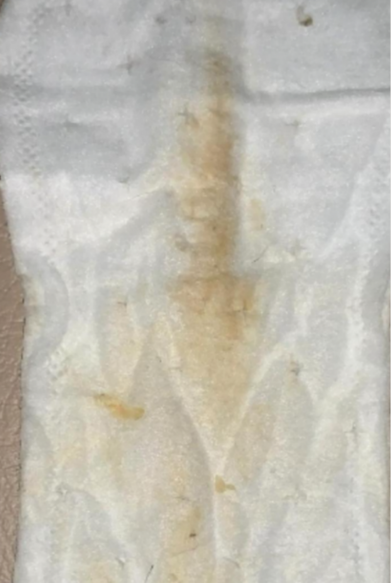 出品者名-写真-1