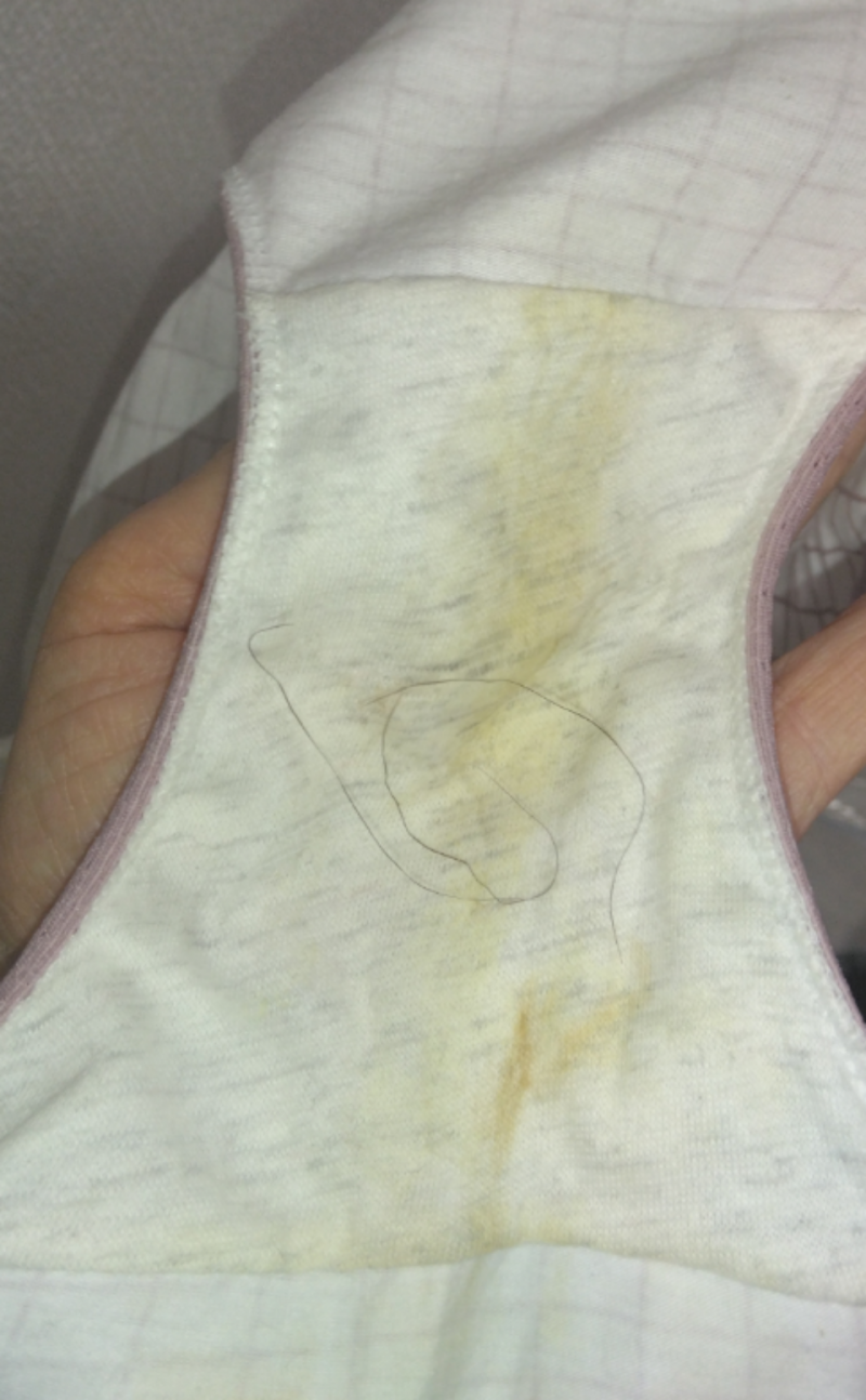 出品者名-写真-1