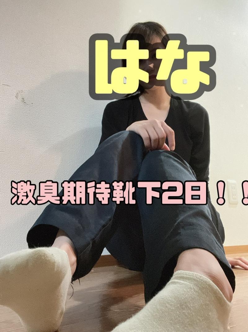 激臭好きのにもってこい!くさくさムレムレ靴下(՞ . .՞)"