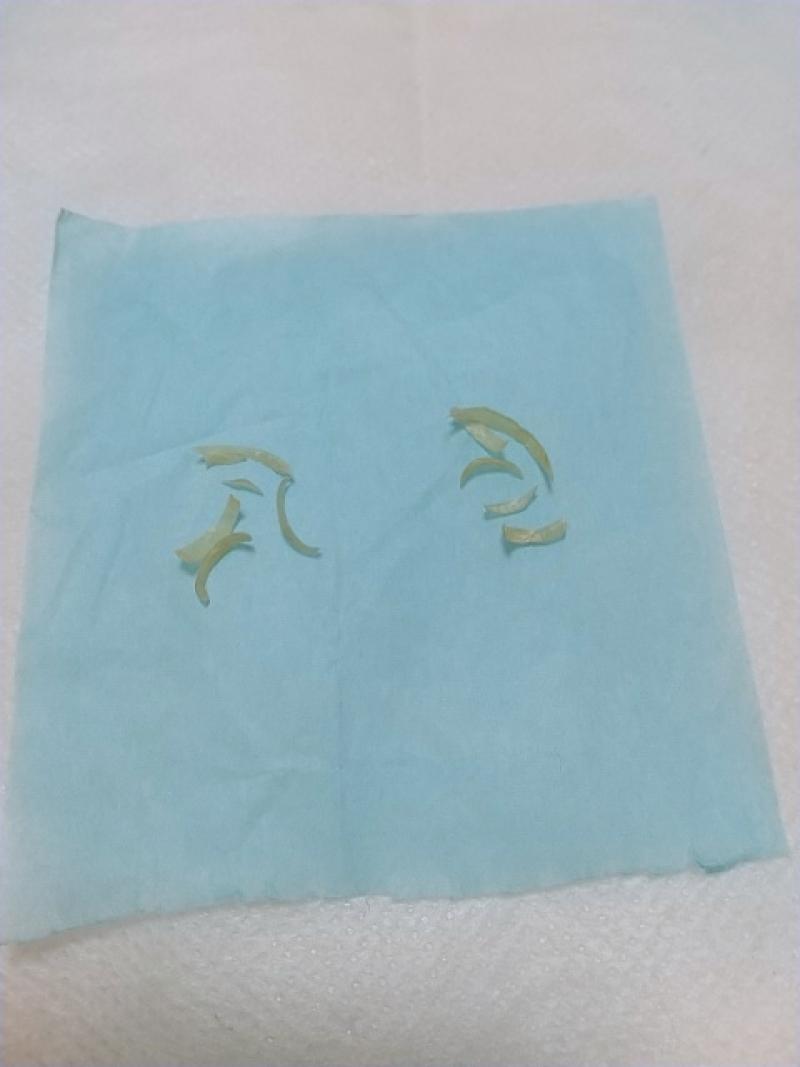 ☆秘香切り立て足爪☆