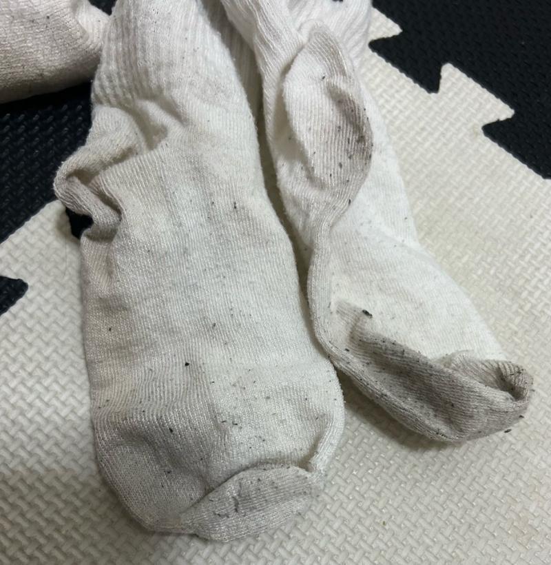 出品者名-写真-1
