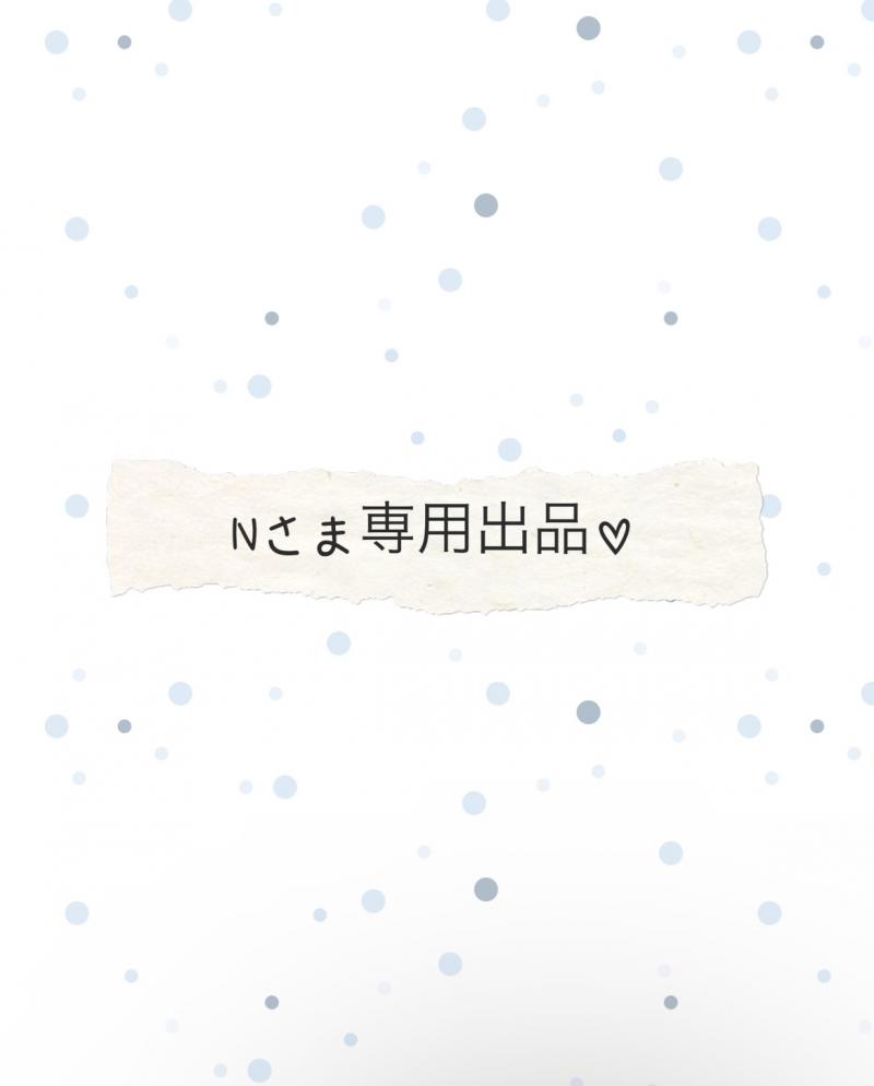 ♡Nさま専用出品♡