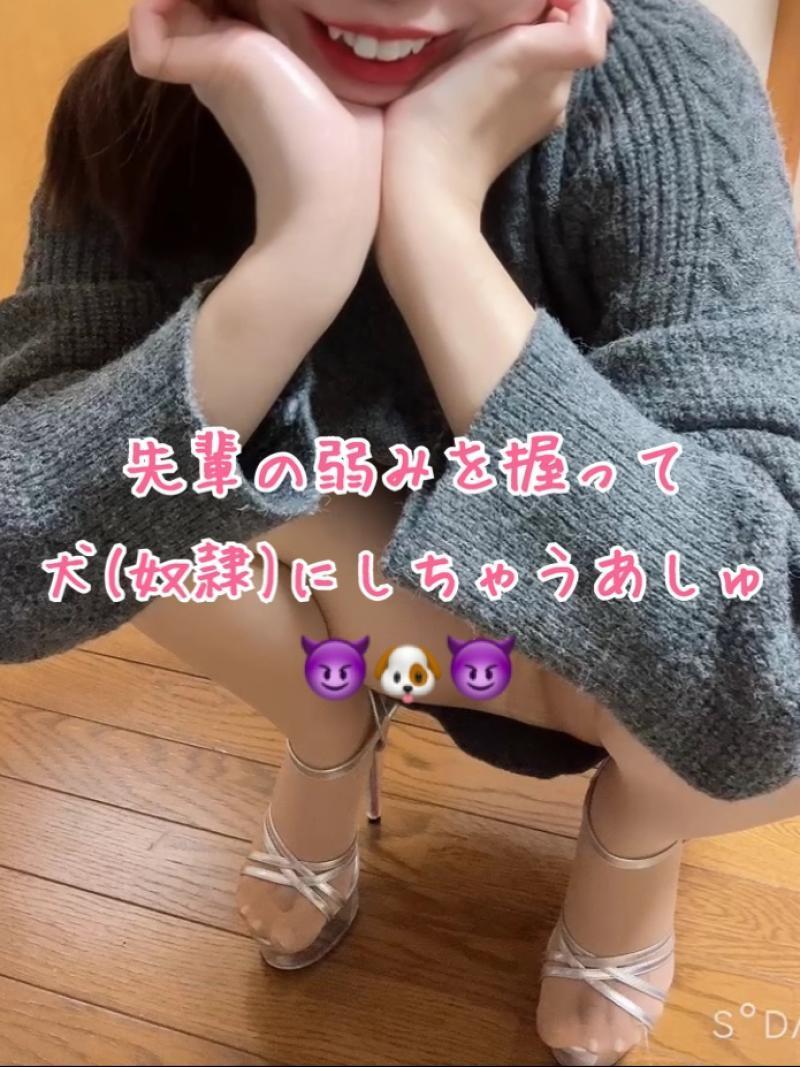 出品者名-写真
