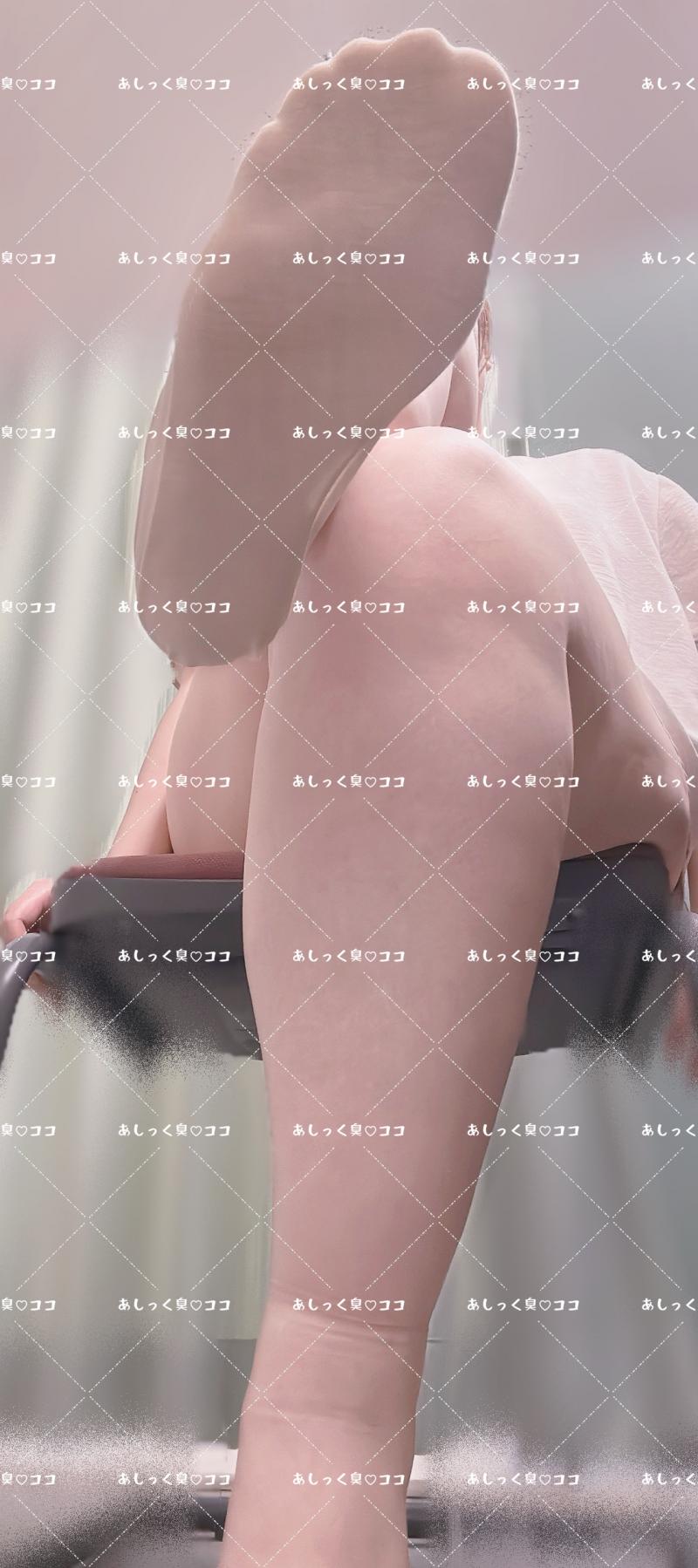 出品者名-写真-1