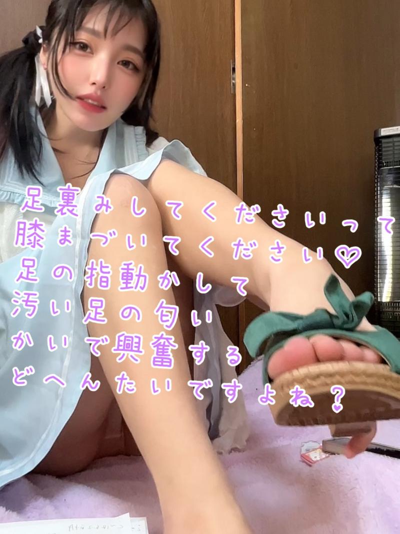 出品者名-写真-1