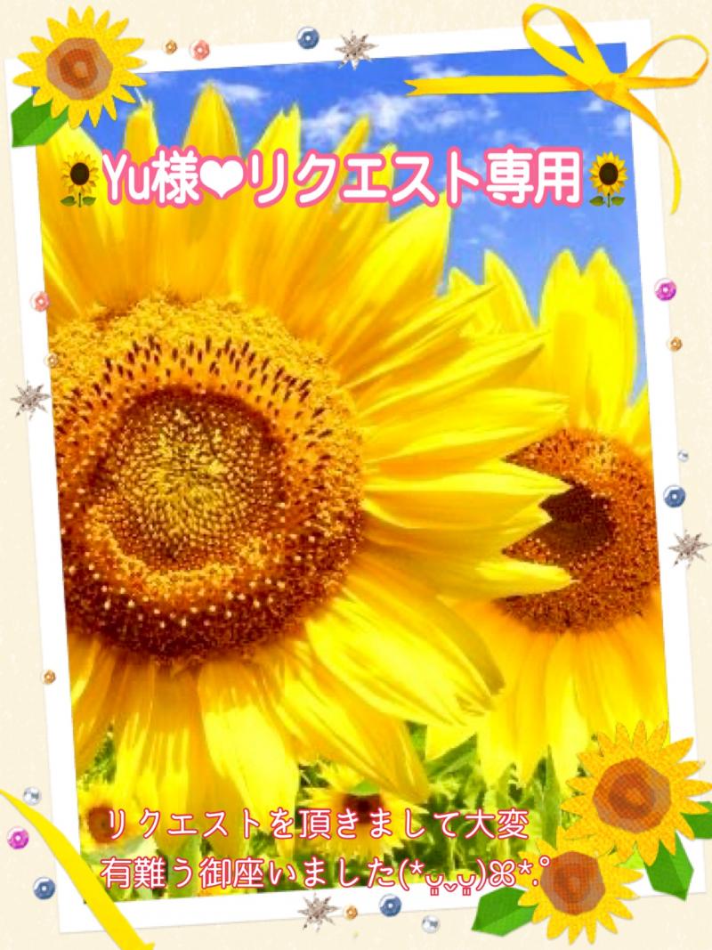 ✧*。Yu様❤︎リクエスト専用✧*。