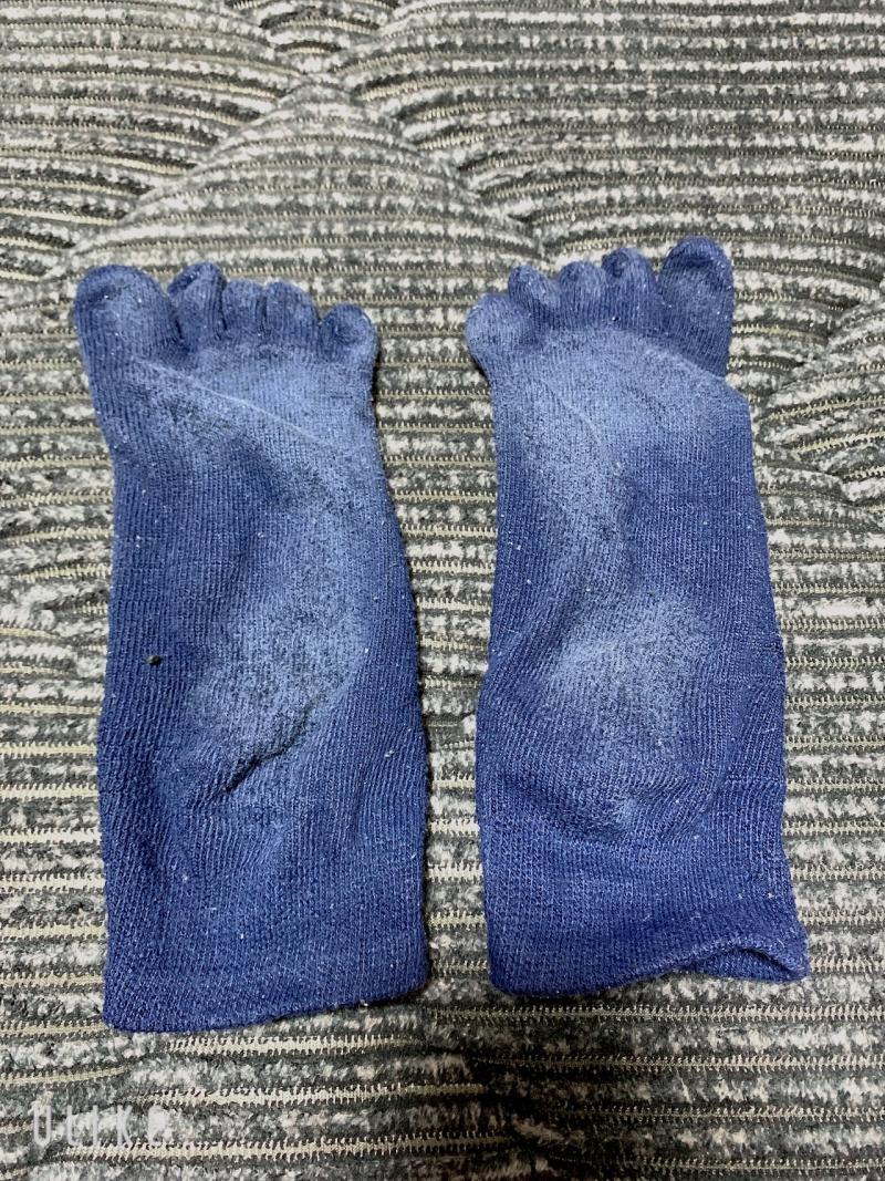 出品者名-写真-1