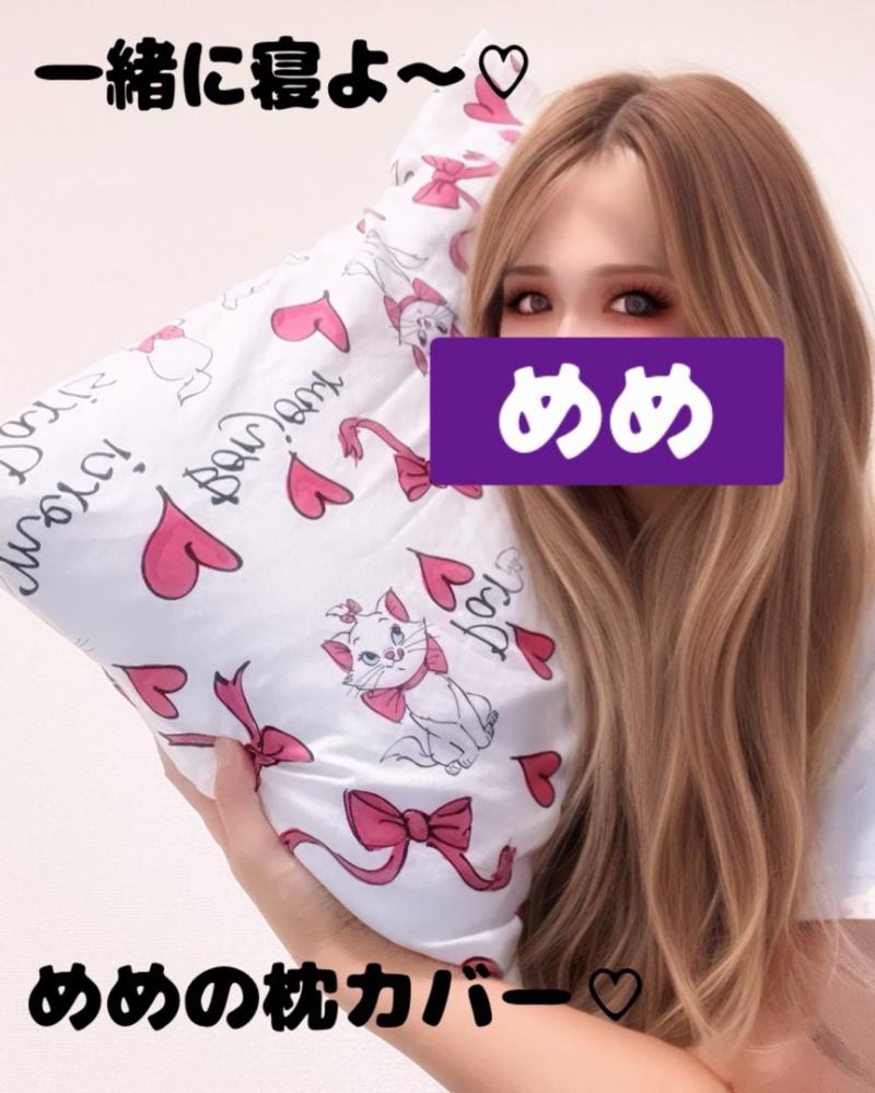 一緒に寝よ〜♡マリーちゃんの愛用枕カバー♡